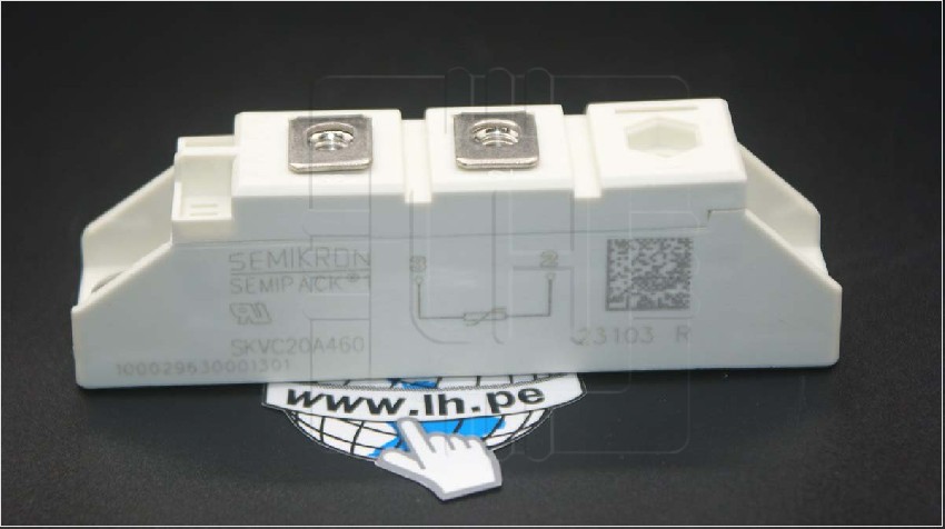 SKVC20A460              Modulo VARISTOR SKVC 20A/460C Semikron