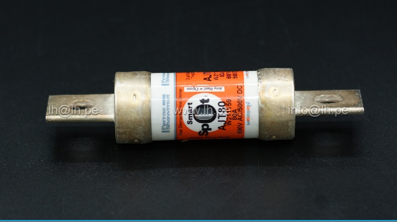 AJT80                   Fusible Time-Delay, Class J, 80A, 600VAC, Visual Indicator, 200kA AC/100kA DC, MERSEN