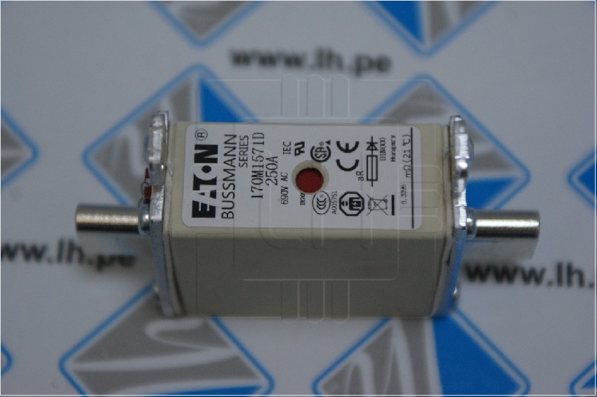 170M1571D    250AMP690VAC DIN000(NH000)HIGH SPEED SEMI-CONDUCTOR FUSE