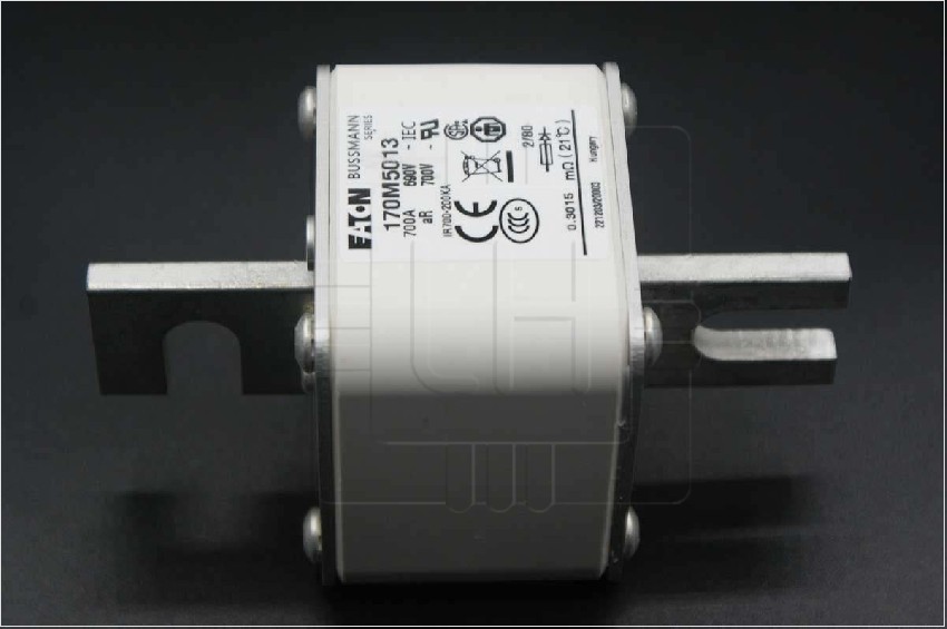 170M5013                  Fuse-link, high speed, 700A, AC 690V, DIN 2, aR, DIN, IEC, type: DIN 43653; /80 Visual indicator