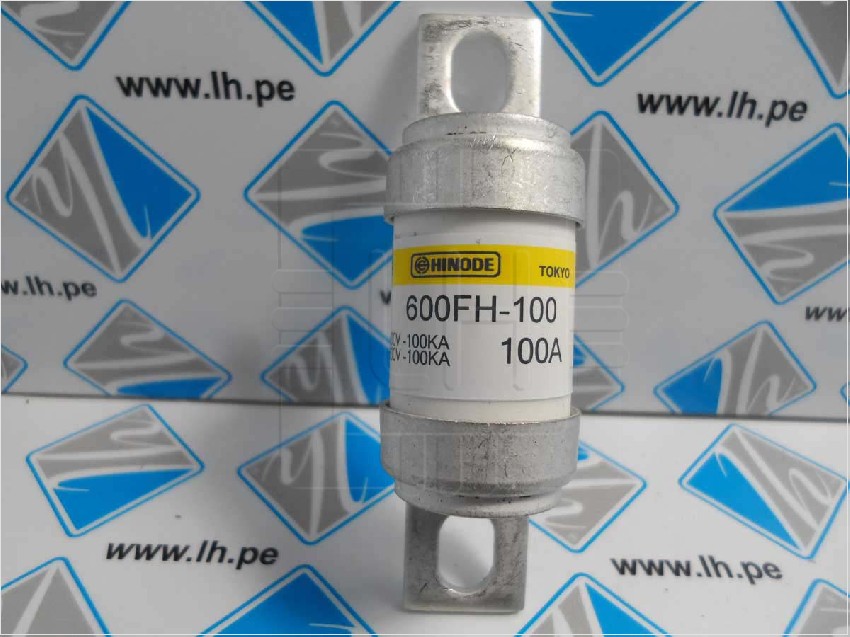 600FH-100      Fuse Ultra Rapid 100A. 600V